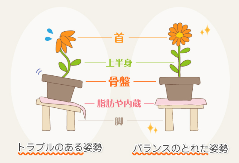 姿勢矯正・猫背矯正花瓶の絵