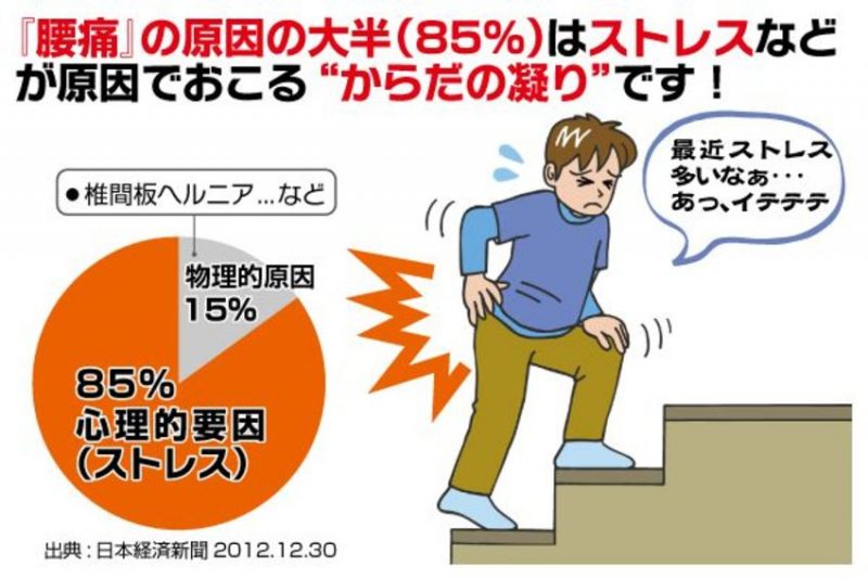 腰痛の本当の原因