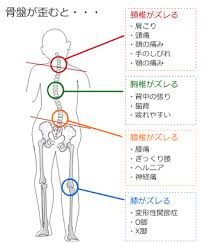 骨盤がゆがむと起こる症状の図(頸椎・胸椎・骨盤・膝)